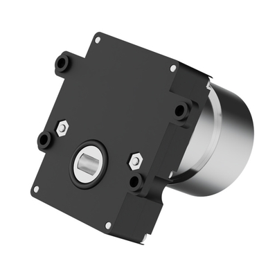 Động cơ DC nhỏ gọn 30 Rpm Worm Gear 12v cho van