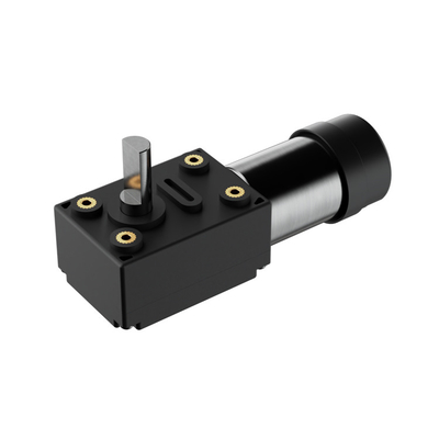 30 Rpm Stepper ô tô động cơ DC với Worm hộp số