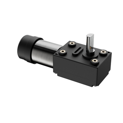 30 Rpm Stepper ô tô động cơ DC với Worm hộp số