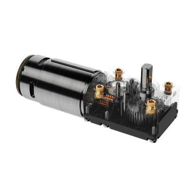 30 Rpm 12v động cơ động cơ giun cho ghế massage
